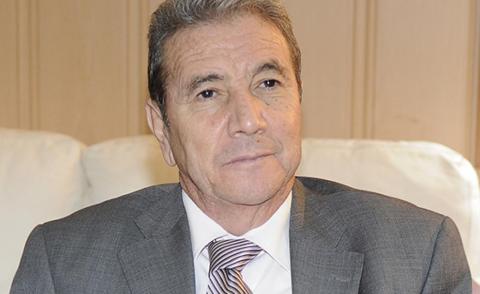 النسخة المصغرة