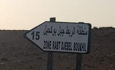 النسخة المصغرة