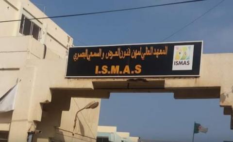 النسخة المصغرة