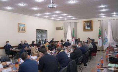 النسخة المصغرة