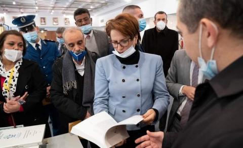 النسخة المصغرة