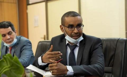 النسخة المصغرة