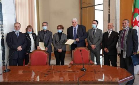 النسخة المصغرة