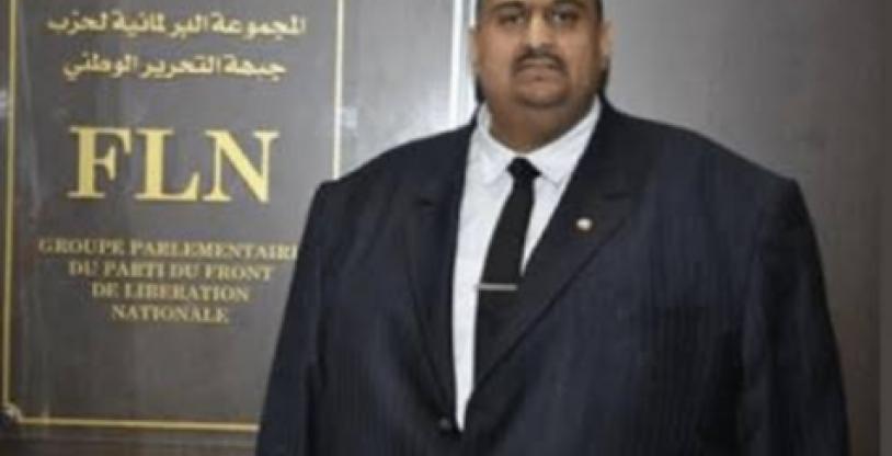 النسخة المصغرة