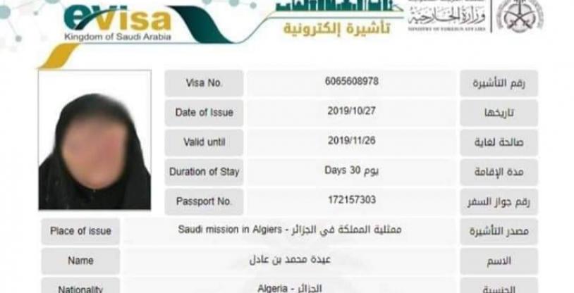 النسخة المصغرة