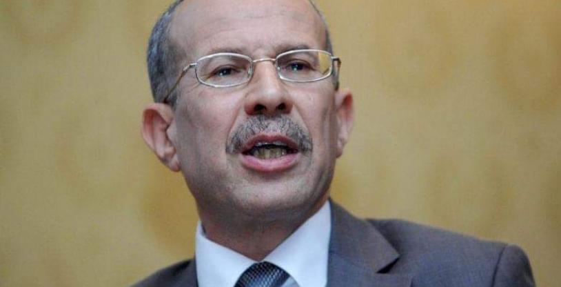 النسخة المصغرة