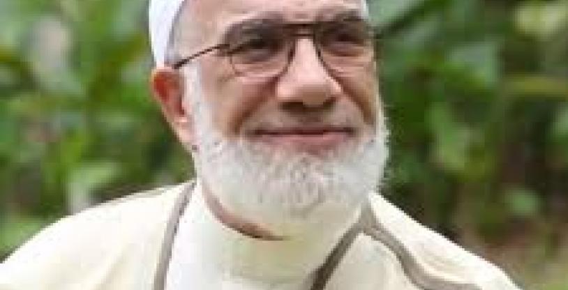 النسخة المصغرة