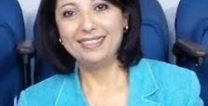 النسخة المصغرة