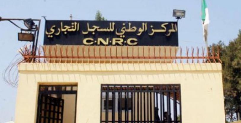 النسخة المصغرة