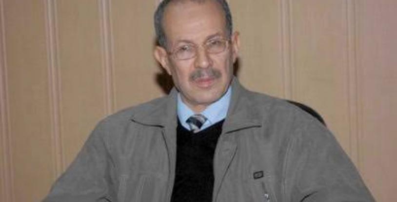 النسخة المصغرة