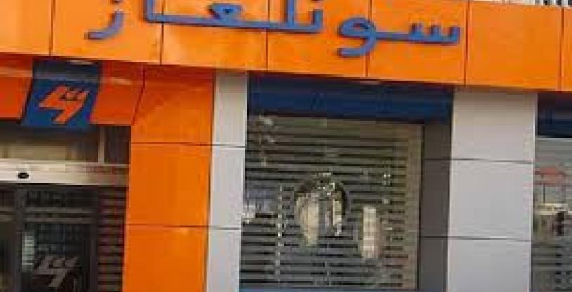 النسخة المصغرة