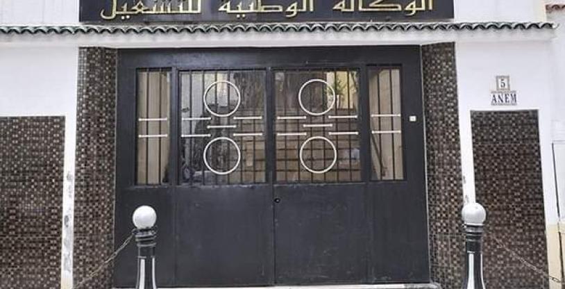 النسخة المصغرة