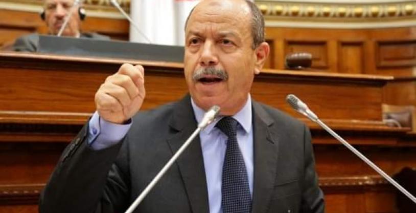 النسخة المصغرة
