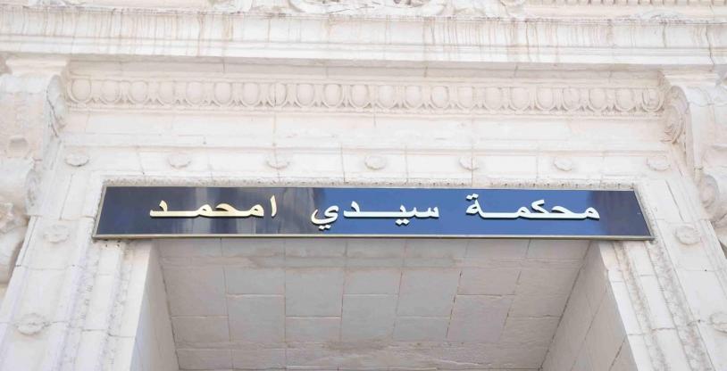 النسخة المصغرة