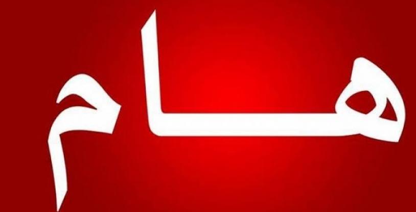 النسخة المصغرة