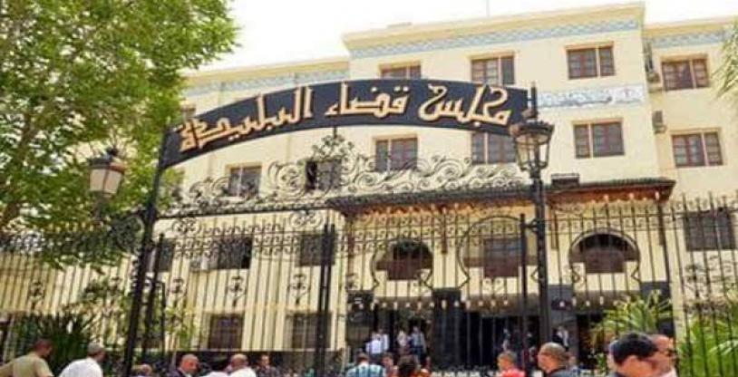 النسخة المصغرة