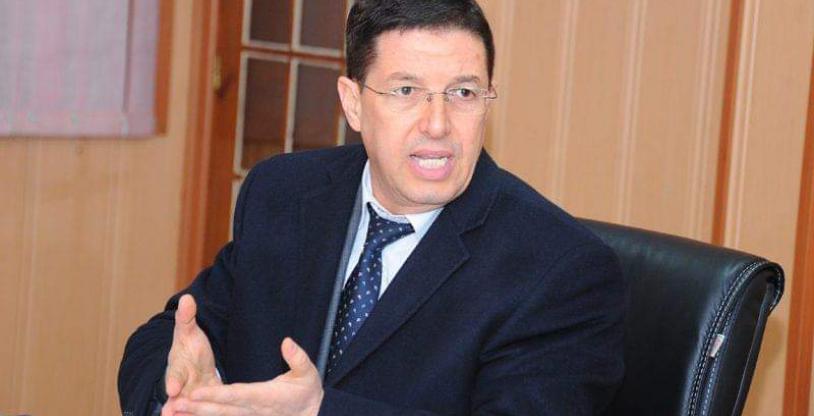 النسخة المصغرة