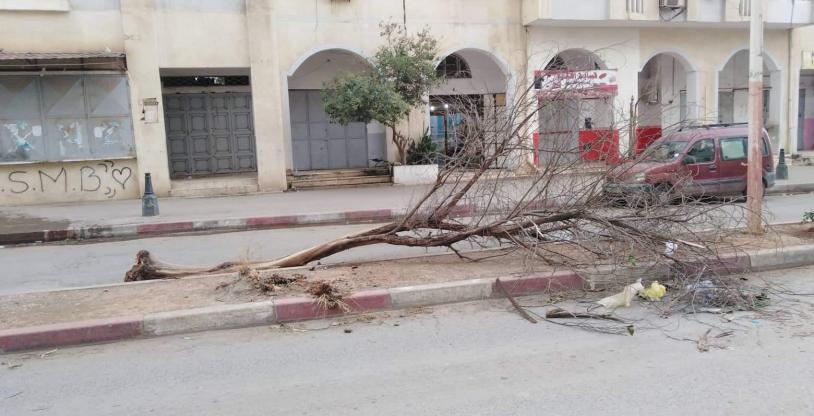 النسخة المصغرة