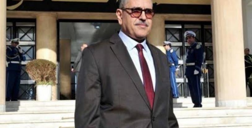 النسخة المصغرة