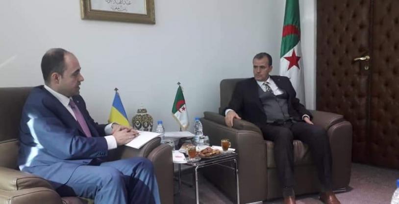 النسخة المصغرة