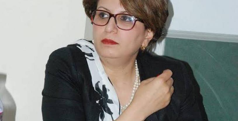 النسخة المصغرة