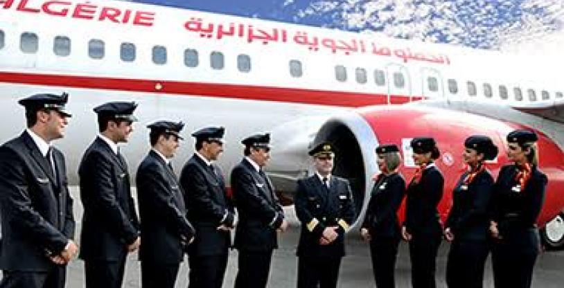 النسخة المصغرة