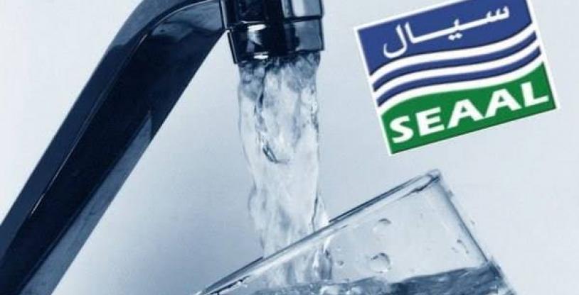 النسخة المصغرة
