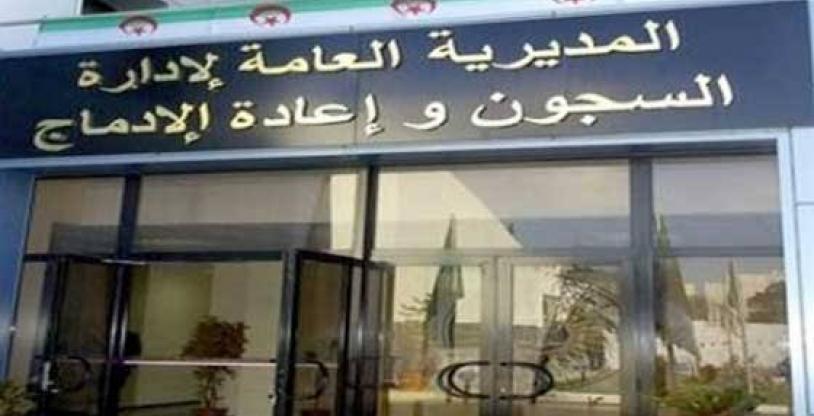 النسخة المصغرة