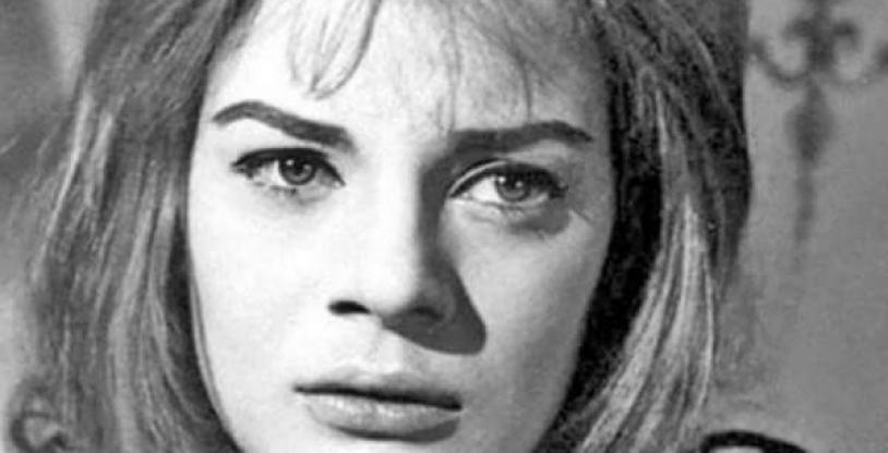 النسخة المصغرة