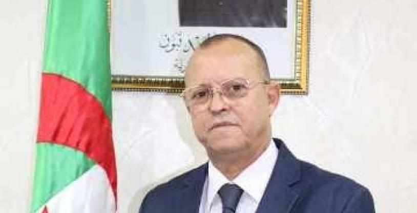 النسخة المصغرة