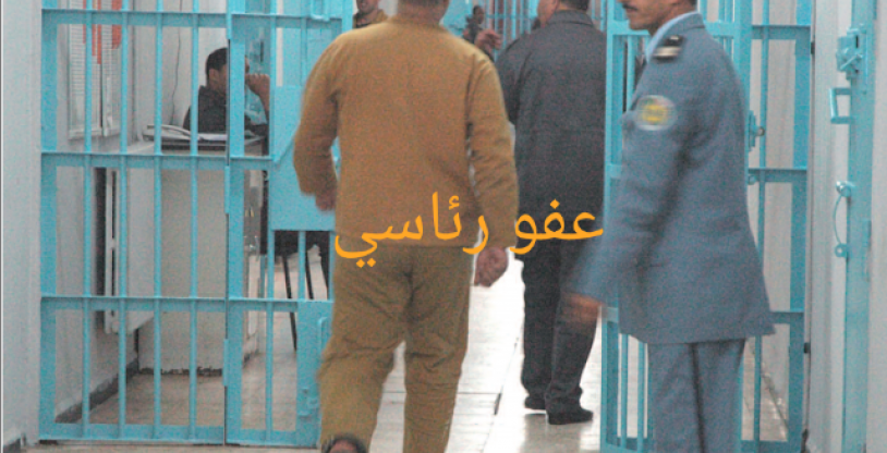 النسخة المصغرة