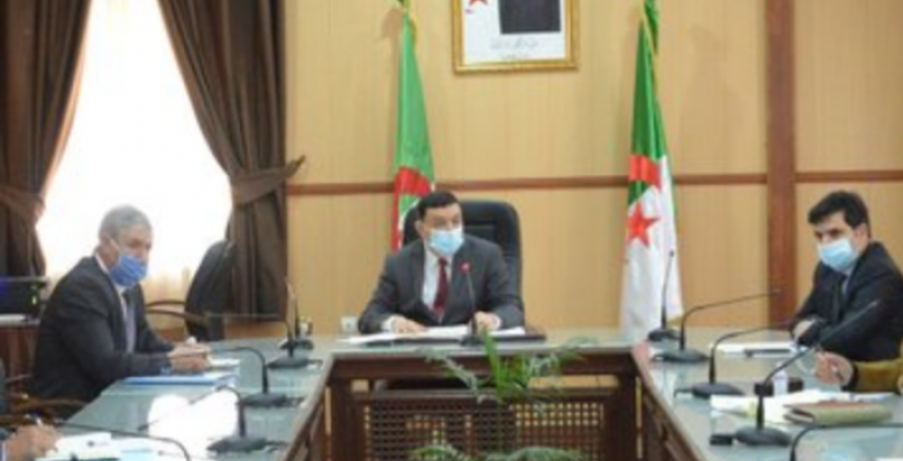 النسخة المصغرة