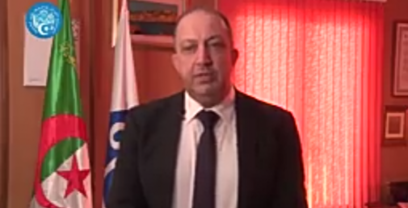 النسخة المصغرة
