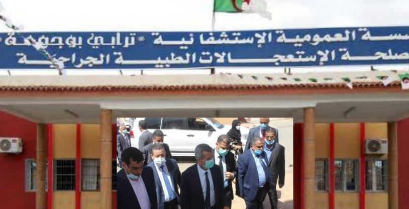 النسخة المصغرة