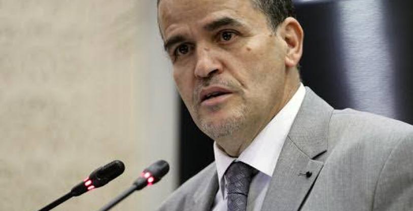 النسخة المصغرة