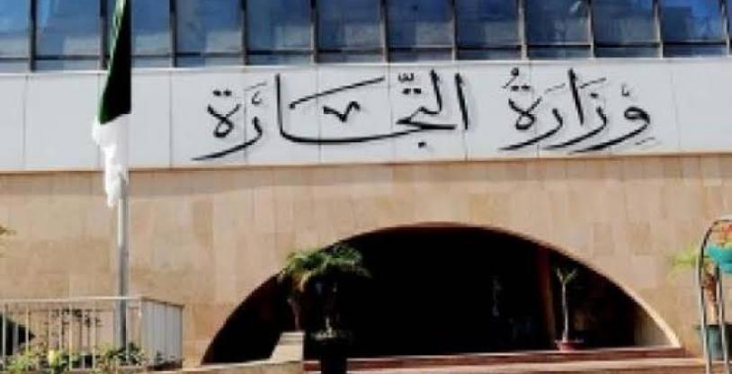 النسخة المصغرة