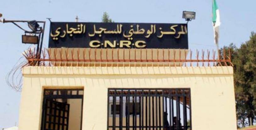 النسخة المصغرة
