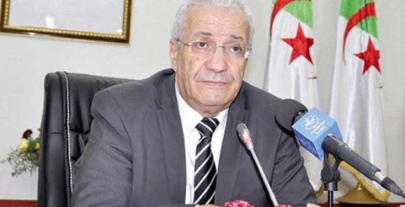 النسخة المصغرة