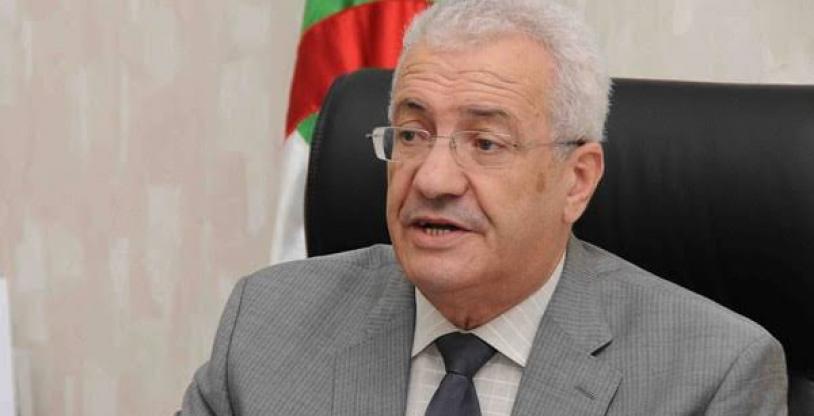 النسخة المصغرة
