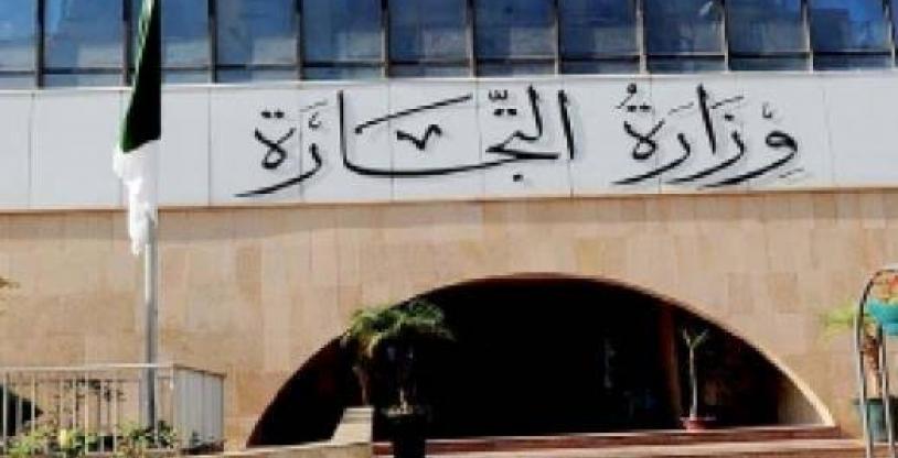 النسخة المصغرة