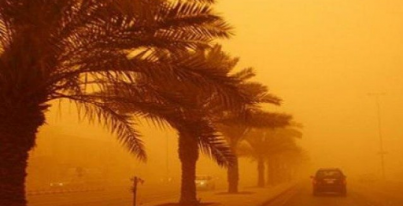 النسخة المصغرة
