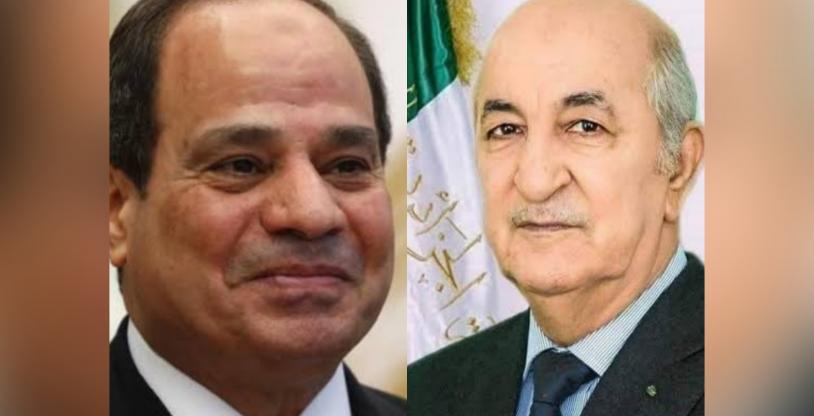 النسخة المصغرة