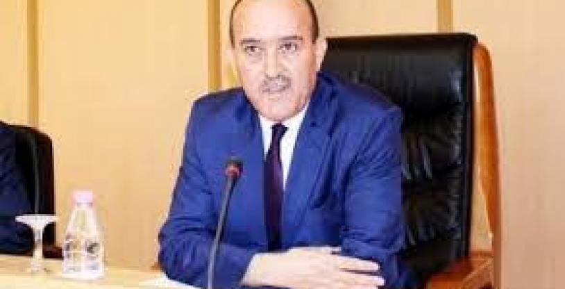 النسخة المصغرة