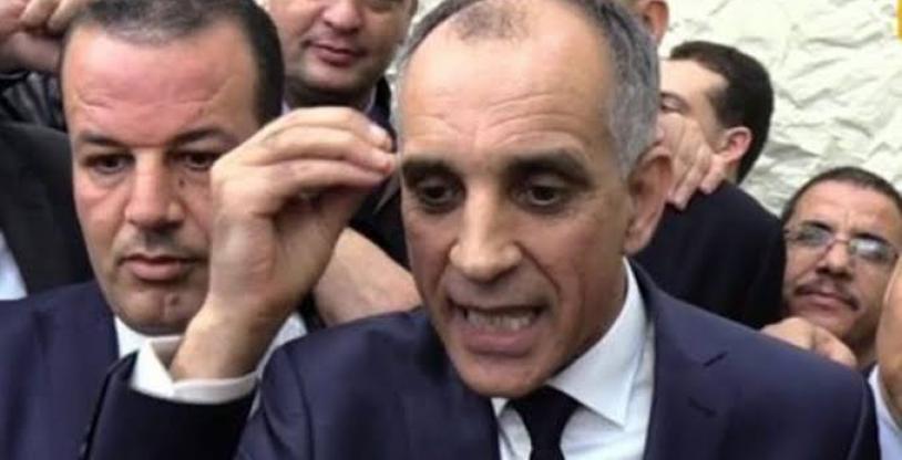 النسخة المصغرة