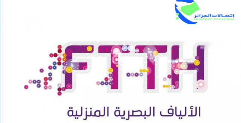 النسخة المصغرة