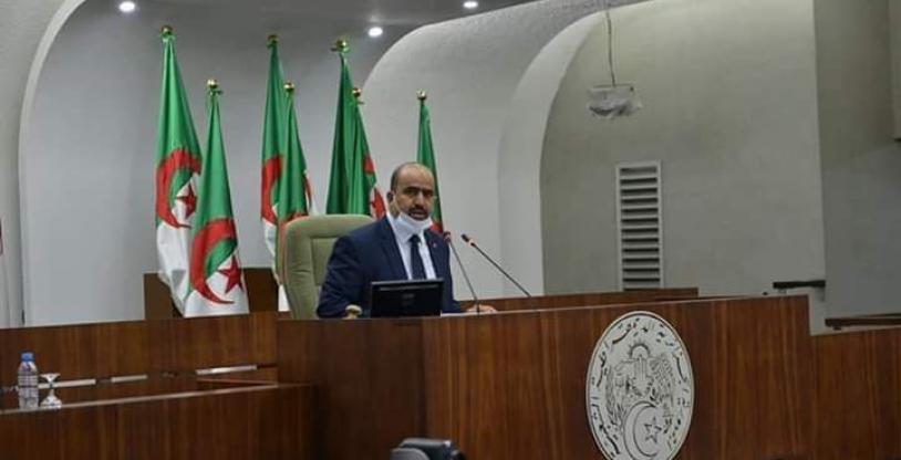 النسخة المصغرة