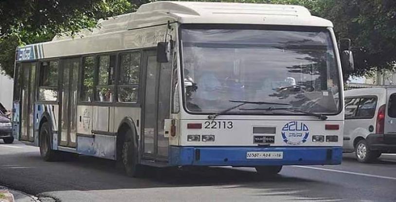 النسخة المصغرة