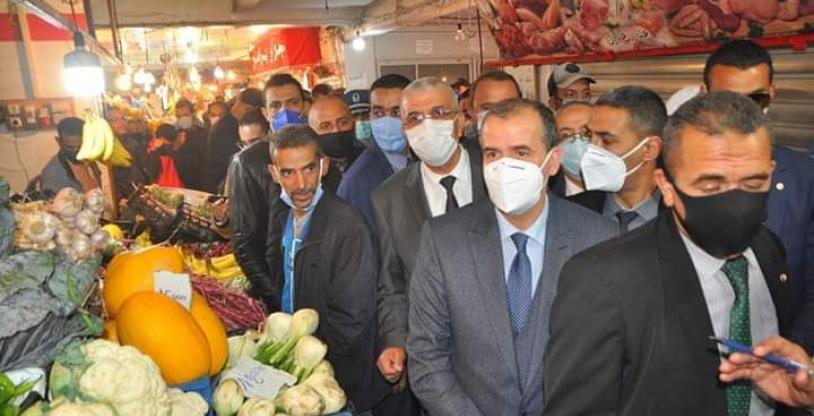 النسخة المصغرة