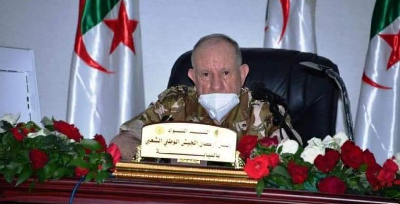 النسخة المصغرة