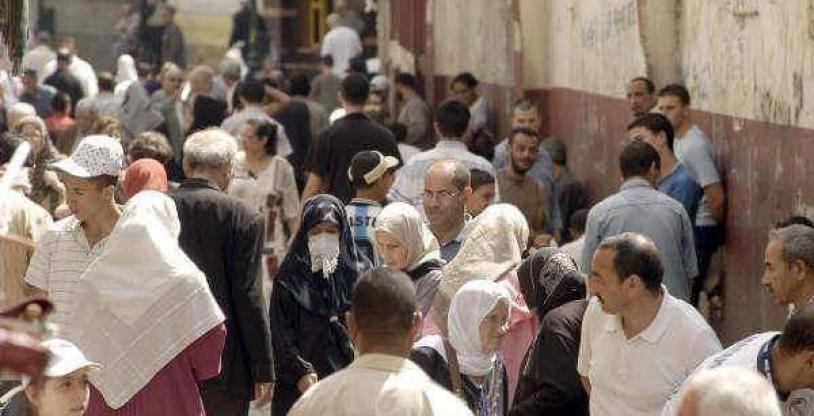 النسخة المصغرة